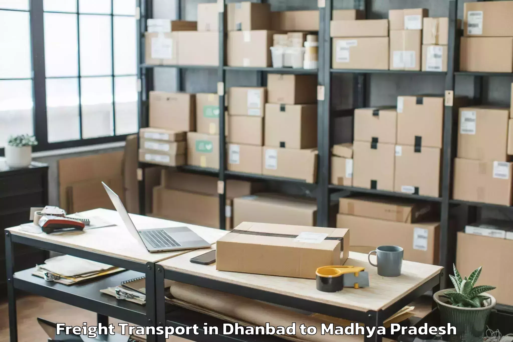 Hassle-Free Dhanbad to Shivpuri Freight Transport